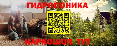 шишки Уссурийск