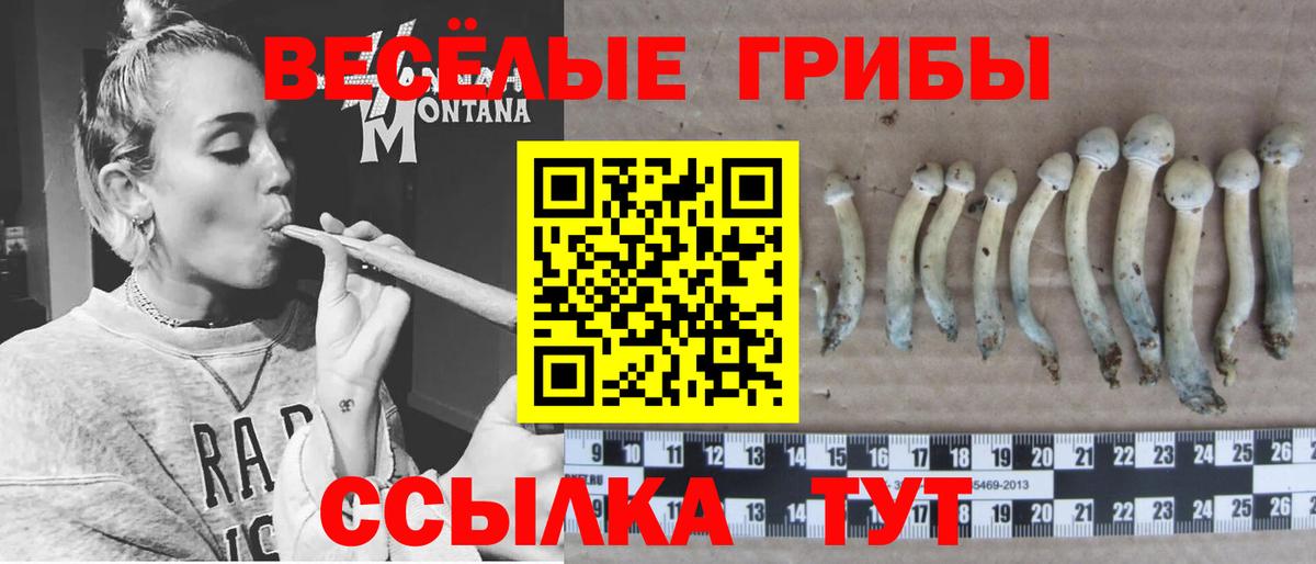 Усинск  Галлюциногенные грибы GOLDEN TEACHER  Галлюциногенные грибы прущие грибы  Вход с VPN 