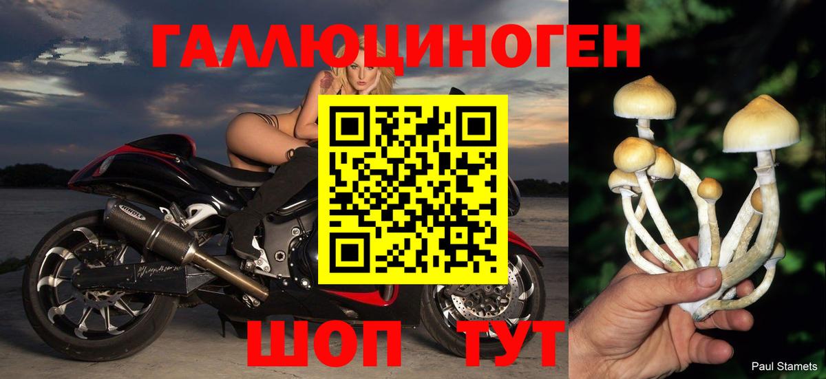 Псилоцибиновые грибы GOLDEN TEACHER Усинск